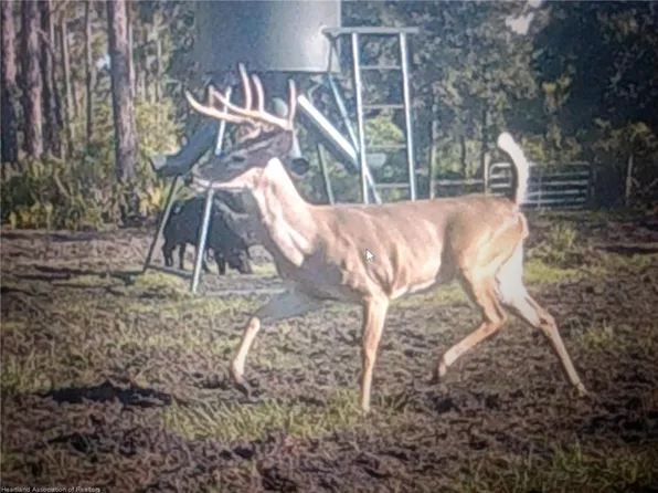 17470 County Road 731, Venus, FL 33960