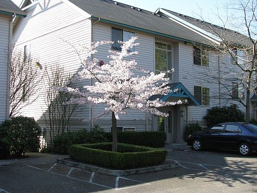 1st image of 15222 10th Ave SW #134