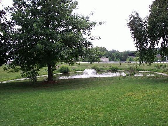 View of Pond