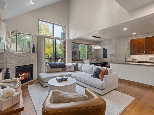 65 Linden Ln, Breckenridge, CO 80424