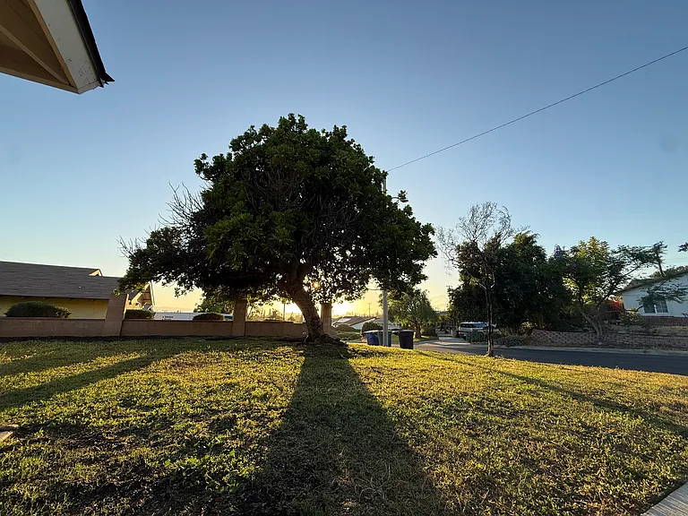 3118 E Vermillion St — Photo 20