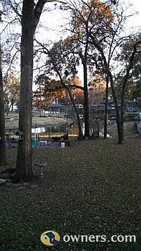 Back yard looking at lake.