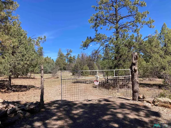 Doe Rim Loop, Los Ojos, NM 87551