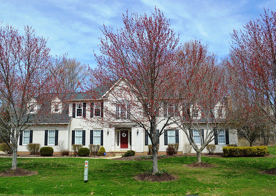 1st image of 1855 E Haymarket Way