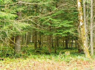 14 Riverdance Ln, Packwood, WA 98361