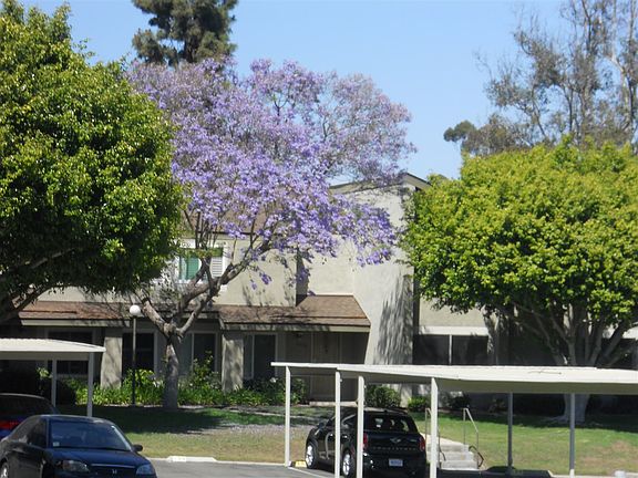 5th image of 10837 Macouba Pl