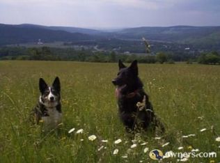 0 Targosh Rd, Candor, NY 13743