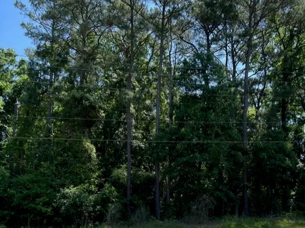 Tbd Circlewood Drive, Hamlet, NC 28345