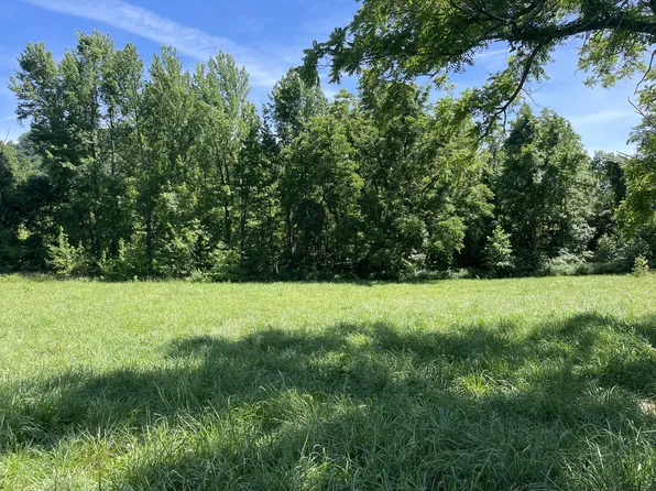 TRACT 1 Terrapin Rd, Harrison, AR 72601