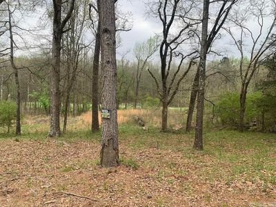 135 Water Works Rd, Russellville, AR, 72802