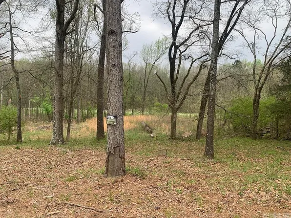 135 Water Works Rd, Russellville, AR 72802