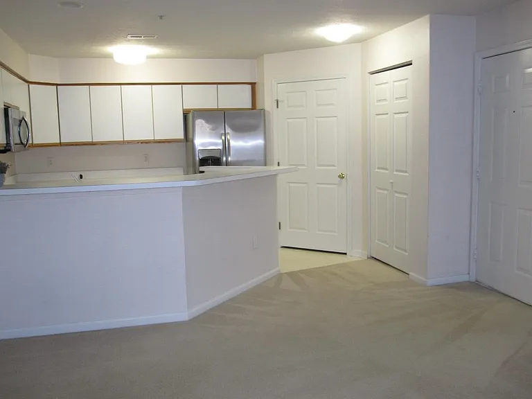 1419 Millbrook Trl — Photo 6