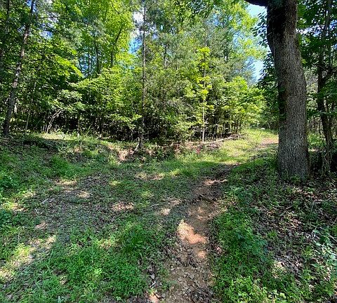 3rd image of 9 Brasstown Acres Dr