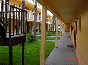 3rd image of 1252 E 113th Ave APT B105