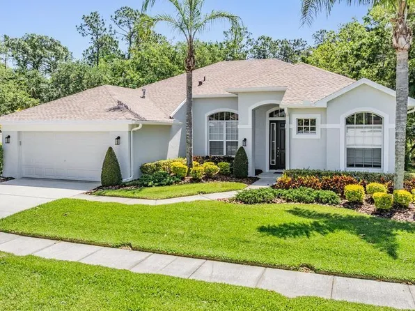 12802 Stanwyck Cir, Tampa, FL 33626