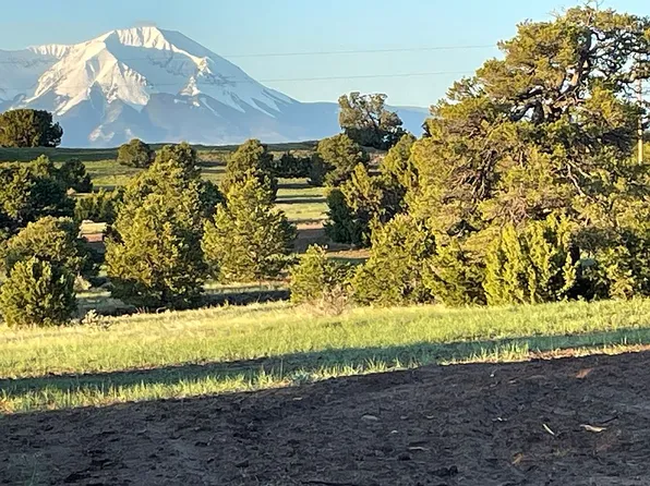 65 F Navajo Rnch #4, Walsenburg, CO 81089