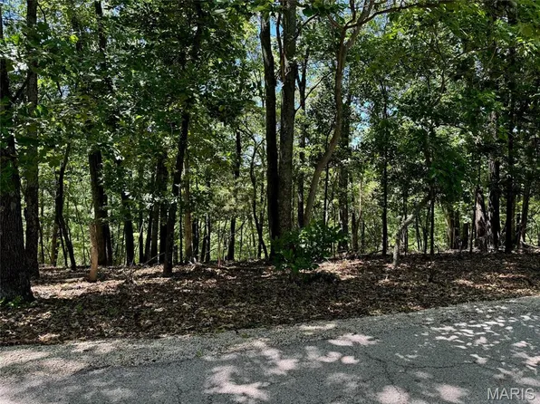 1561 Wolf Trail Rd, Ballwin, MO 63021