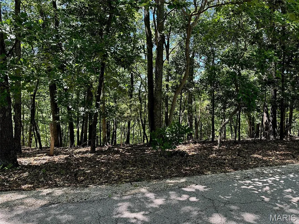 1561 Wolf Trail Rd photo 1