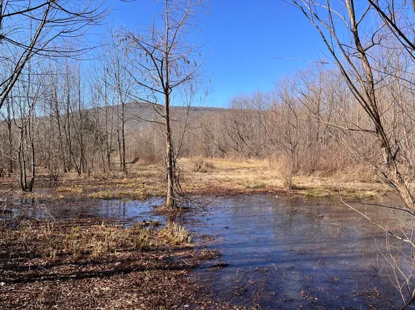 0 County Road 65, Estillfork, AL 35745