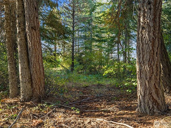 3rd image of 2040 Ruby King Loop