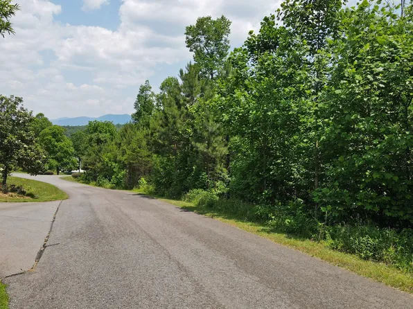 26 Meadow Brooke Ln, Young Harris, GA 30582