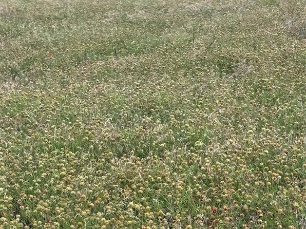 LOT 5 County Road 3565, China Spring, TX 76633