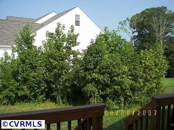 Back Yard Foilage for Privacy