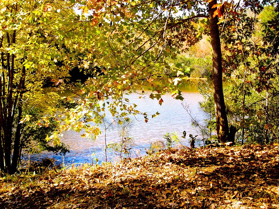 Five Acre Private Lake