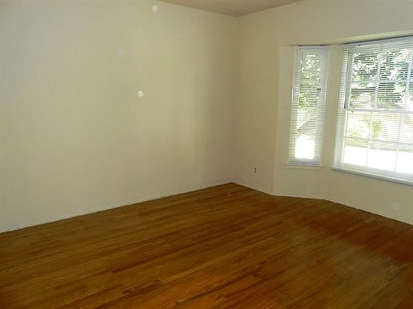 Picture 1648