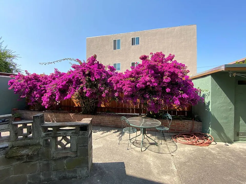1621 Blake street Berkeley, CA 94703
