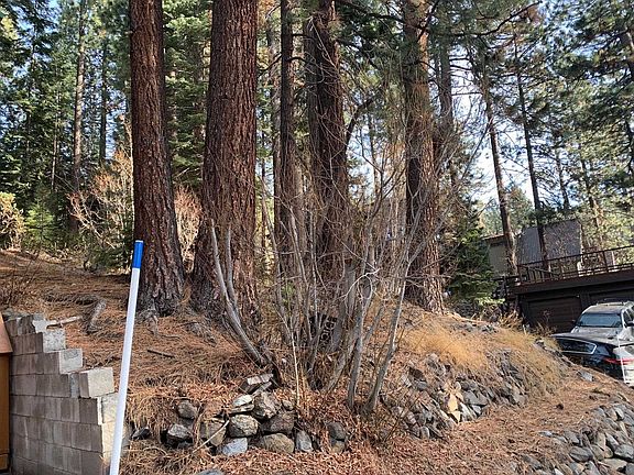 4th image of 13310 Sierra Dr W