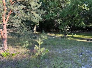 10616 S Walnut Ave, Grant, MI 49327