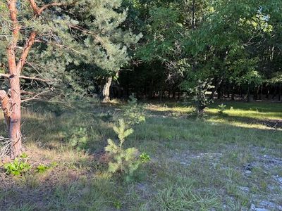 10616 S Walnut Ave, Grant, MI, 49327