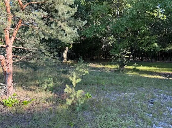 10616 S Walnut Ave, Grant, MI 49327