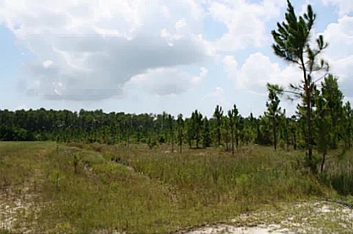 2nd image of Gautier