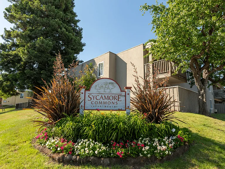 Sycamore Commons — Photo 11