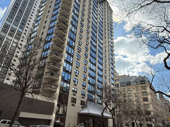 1313 N Ritchie Ct APT 1608, Chicago, IL 60610
