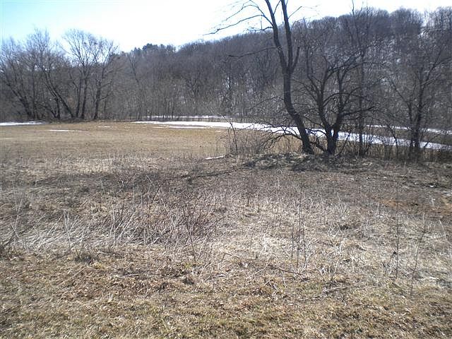 2nd image of 0 Fawn