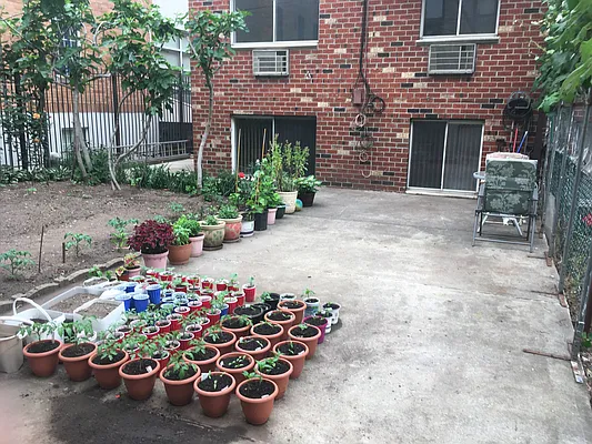 Rented by Onyx | media 18