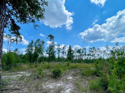 LOT 24 48th Way NW, Jennings, FL, 32053