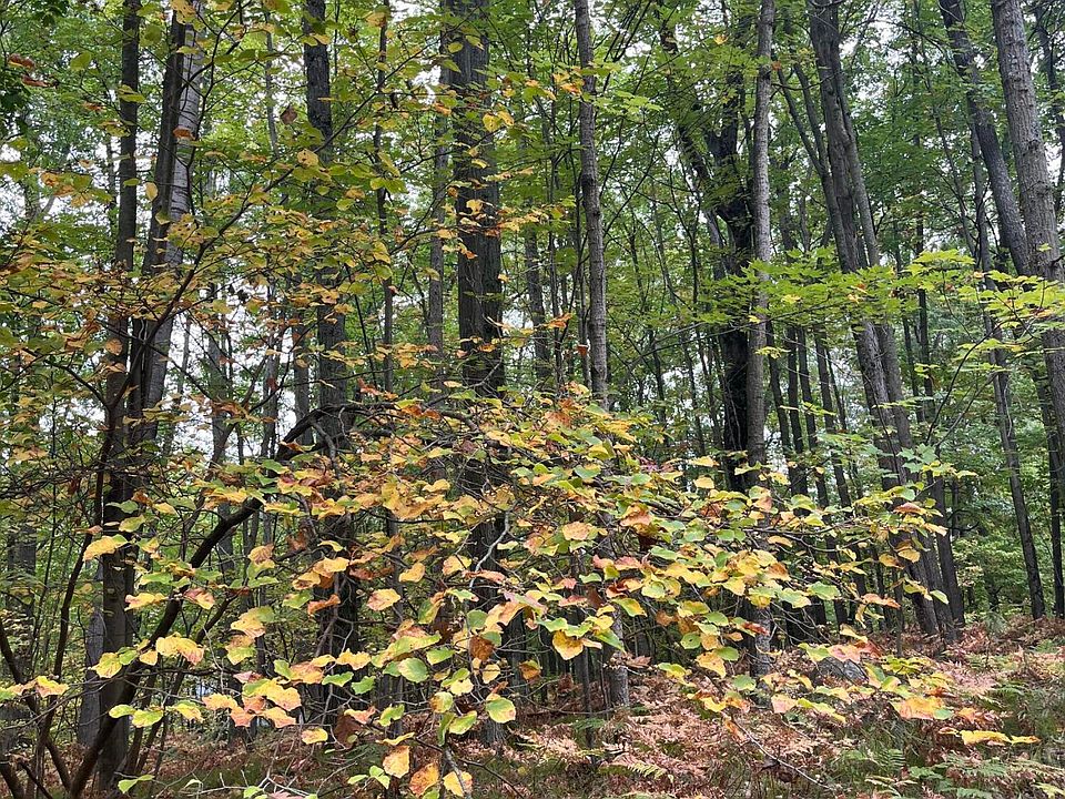 2nd image of LOT 681 Elm Run