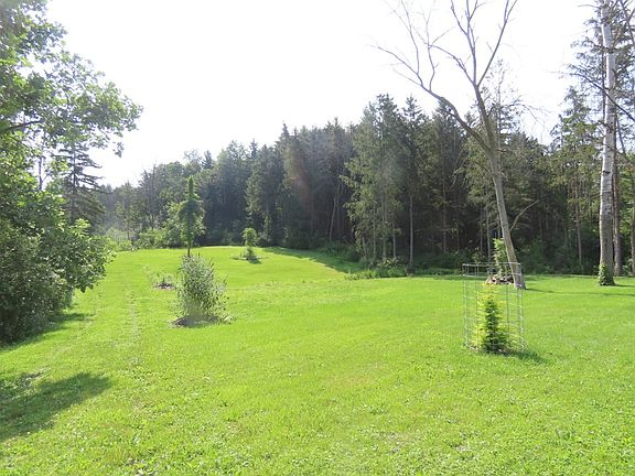 Property Rear View