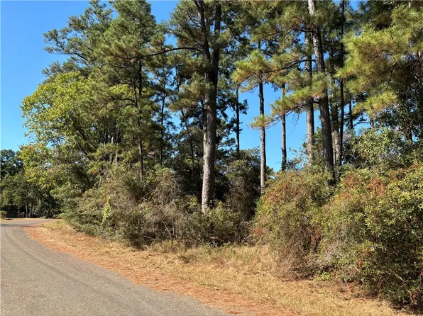 0 Cherry Laurel Ln, Navasota, TX 77868