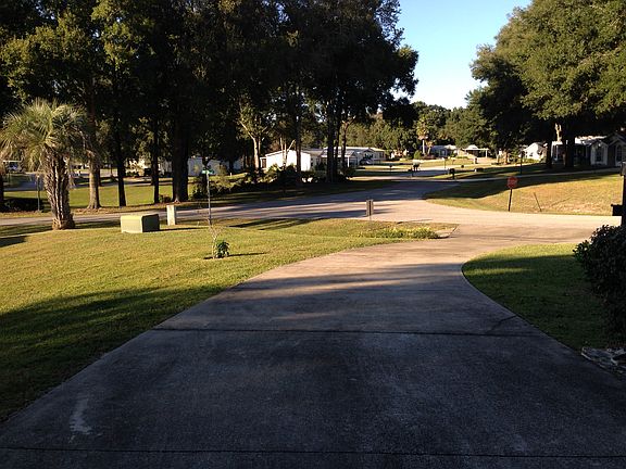 view from screen room