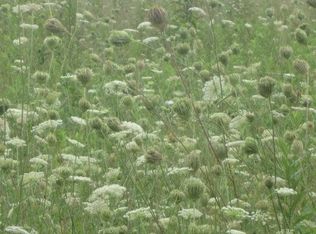 Myers Rd, Townsend, TN 37882