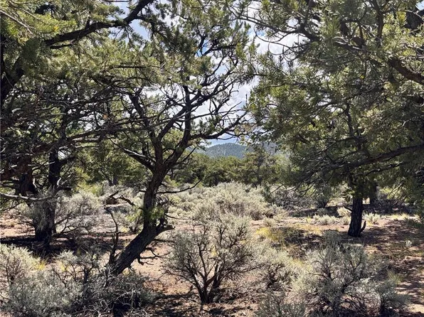 1134 Jorgulesco Road LOT 1134, Fort Garland, CO 81133