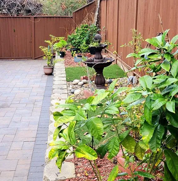 3286 Bruno Dr — Photo 58