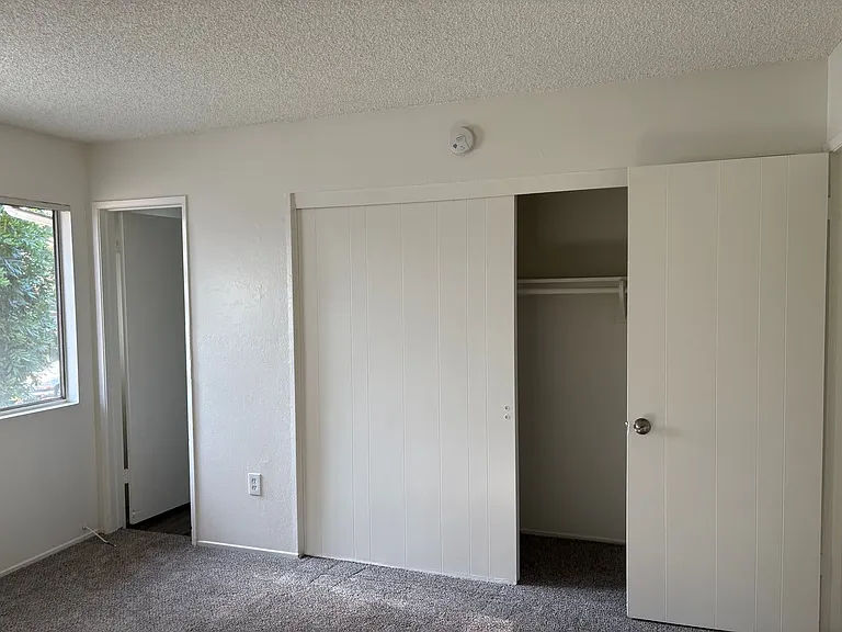 saf2229 — Photo 16