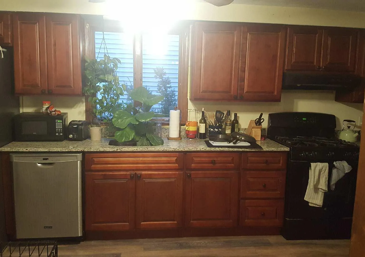 3 bed, 1.5 bath, 1400 sqft, $2,750 — Photo 3