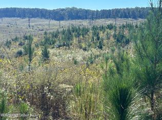 80AC Skyline Rd, Meridian, MS 39301